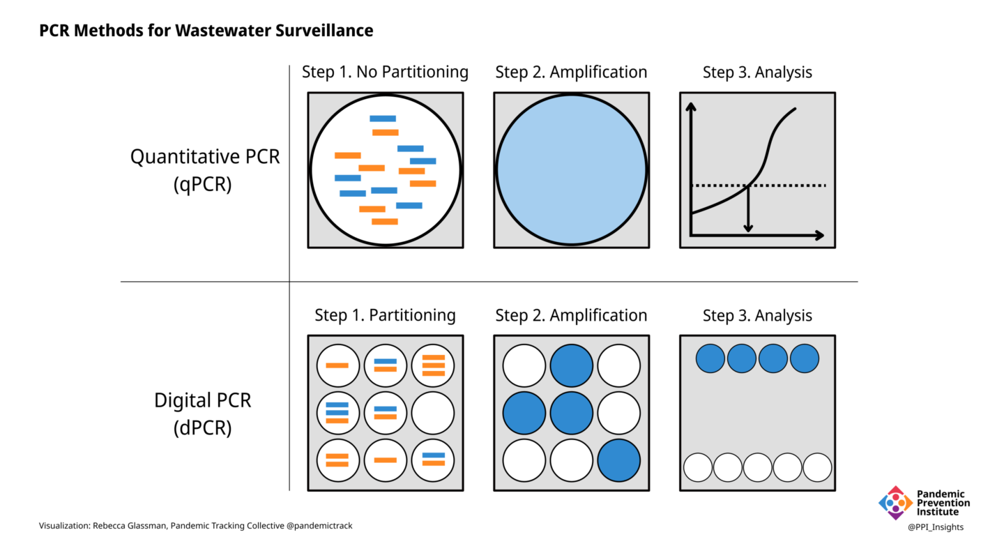 A schematic illustrating the steps in qPCR vs. dPCR as described in the caption.